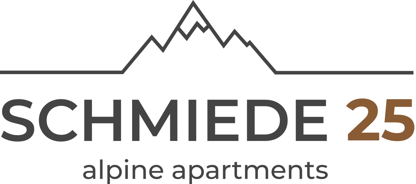 Schmiede25 Logo